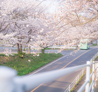 出張配達について